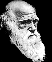 Чарльз Роберт Дарвин (1809-1882)