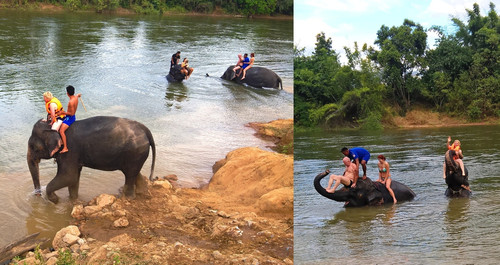 Купание со слонами в Таиланде