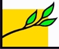 Ветвь-диаграмма_logo_Sidorov S.V.