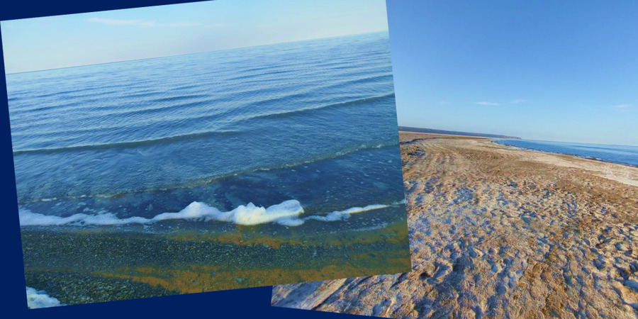 Всемирный день водных ресурсов