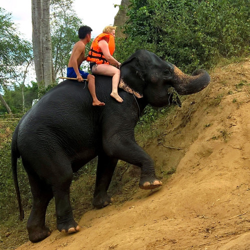 Слон-внедорожник