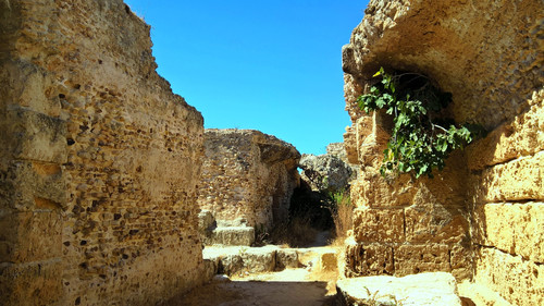 Римские термы в Карфагене: под этими сводами было мрачновато