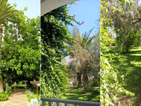 Парк отеля "Le Hammamet". Тунис, Хаммамет
